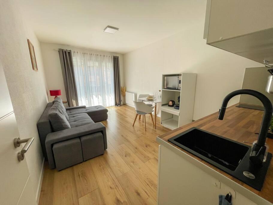 Le Lagon Bleu - Appt Wifi Parking Balcon Le Puy-en-Velay Exterior photo