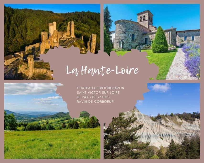 Le Lagon Bleu - Appt Wifi Parking Balcon Le Puy-en-Velay Exterior photo
